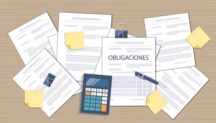 LA DECLARACIÓN PATRIMONIAL